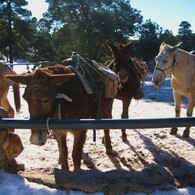 NEVADA←→ALIZONA3