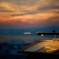 夜を楽しむ