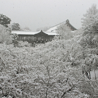 豪雪の通天橋