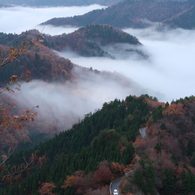 雲海と紅葉