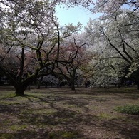 P1090091