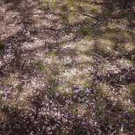 P1090094