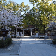 DSC_0370　武田神社H26.4