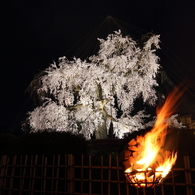 円山公園の篝火