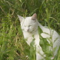 朝からウトウト