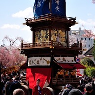 犬山の春景　どんでん
