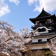 犬山の春景