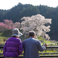 元気で長生き