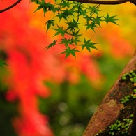 gallery02