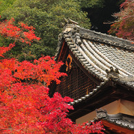 gallery03