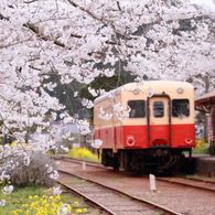 春の駅