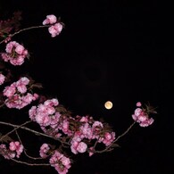 火星大接近