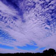 雲