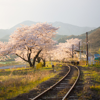サクラ鉄道