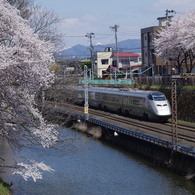 お堀の桜-4