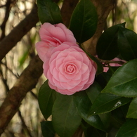 P1000927