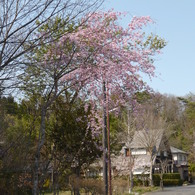 P1000867