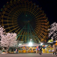 夜桜_遊園地