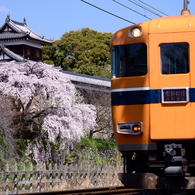 春路を駆ける_01