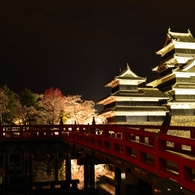 桜へ到る橋
