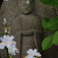 石仏に添える