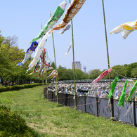 鯉のぼり祭り２