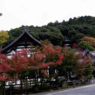 京都・永観堂の紅葉