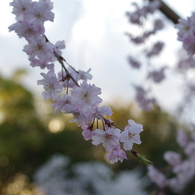 20140404-174728-0