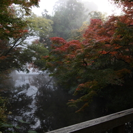 橋景