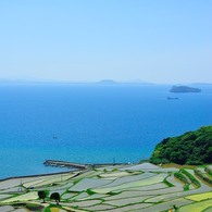 昼間の棚田