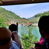 【新緑の黒部峡谷】心地よき新緑