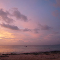 dreaming Sky
