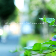 -帰 路-