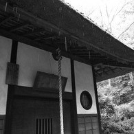 雨の平林寺