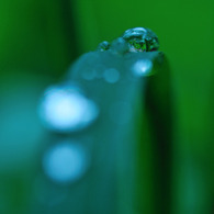 water crystal on grass arch