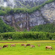 Meiringen②