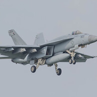 #303 VFA-115 Eagles