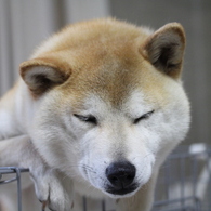 毎度毎度の写真です・・・②