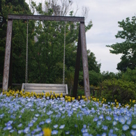 伊豆四季の花公園4