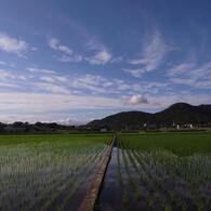 田園と雲