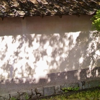 The Others (11)