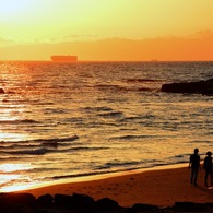 夕波散歩