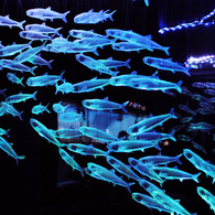 魚のオブジェ①