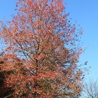 IMG_8691