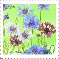 花切手＜2014-23＞＊ヤグルマギク