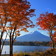 富士と紅葉