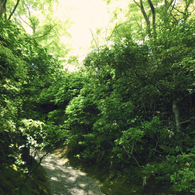 大河内山荘