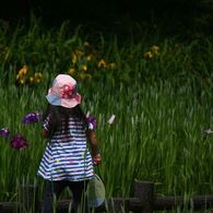 お花さん雨がほしいの？