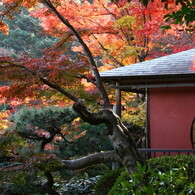 長府庭園