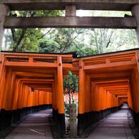 千本鳥居の朝　Ⅳ